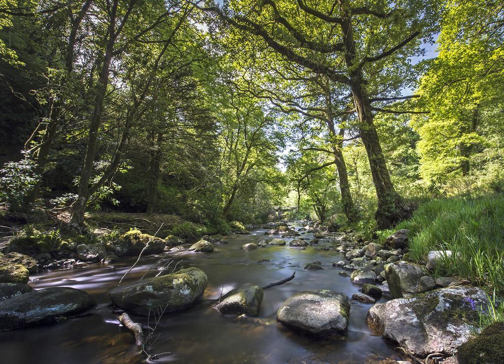 Ballyteige Lodge Ballyteige Bridge Εξωτερικό φωτογραφία