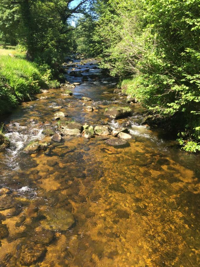 Ballyteige Lodge Ballyteige Bridge Εξωτερικό φωτογραφία
