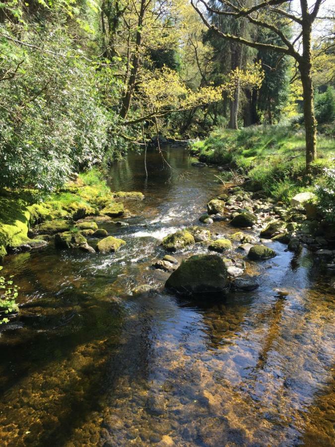 Ballyteige Lodge Ballyteige Bridge Εξωτερικό φωτογραφία